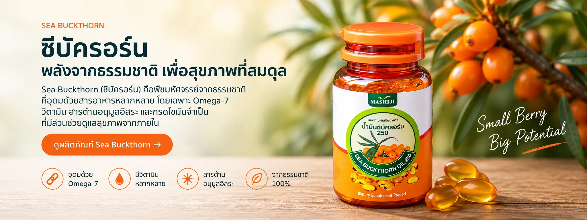 Sea Buckthorn คืออะไร? ทำความรู้จักซีบัคธอร์นและสารอาหารสำคัญ