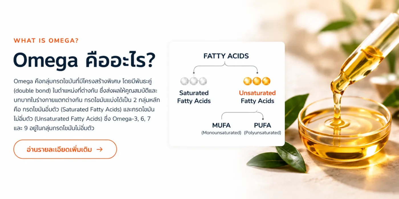 Omega คืออะไร?
