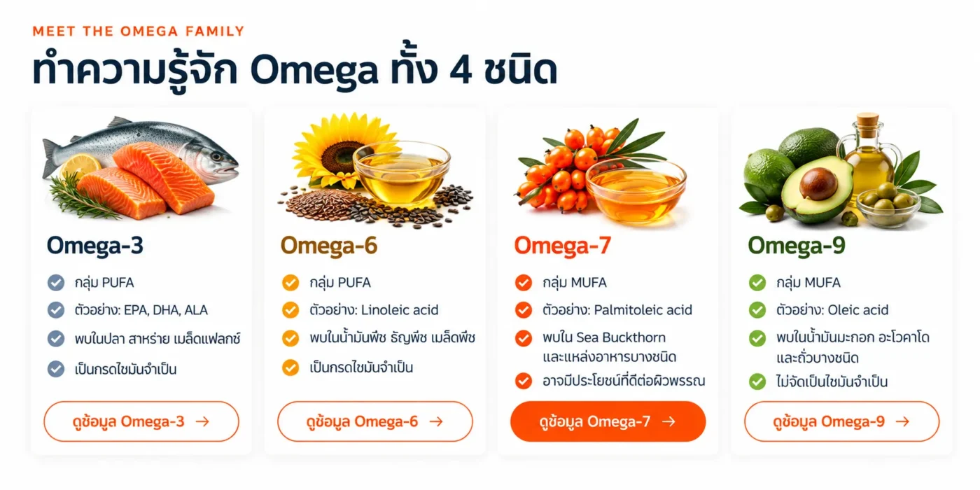 ทำความรู้จัก Omega ทั้ง 4 ชนิด