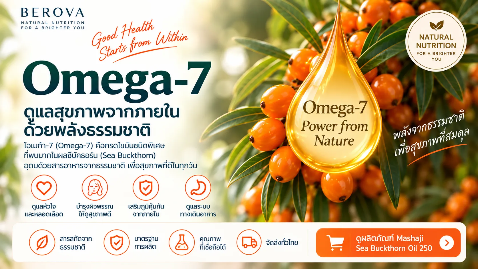 Omega-7 คืออะไร? ทำความรู้จักโอเมก้า 7 และแหล่งอาหารจากธรรมชาติ