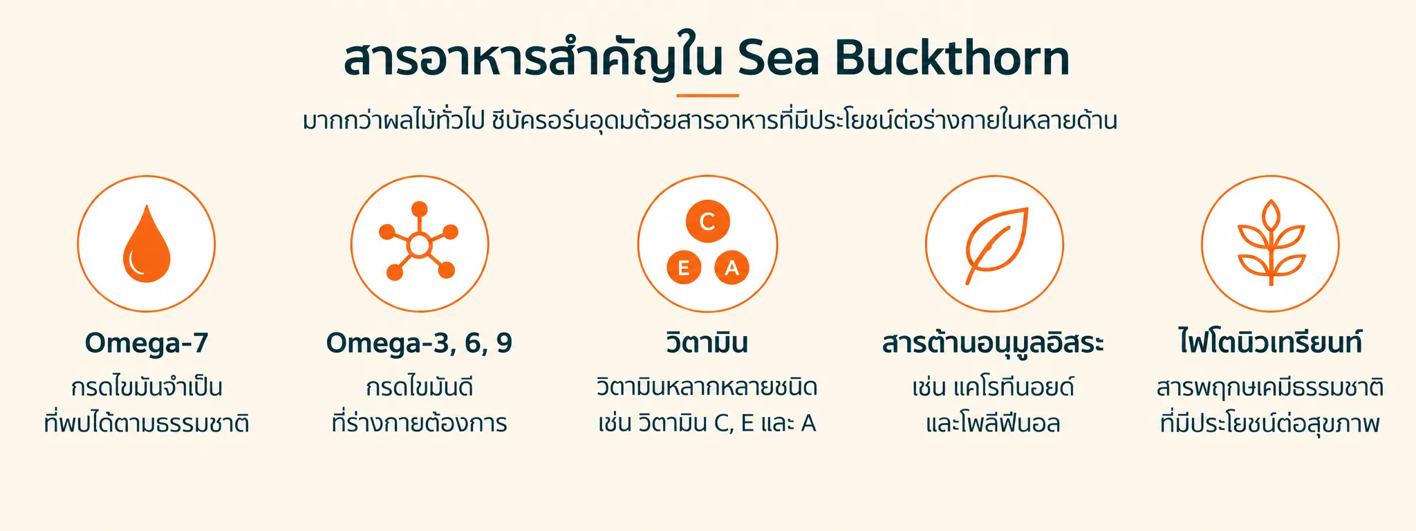Sea Buckthorn มีสารอาหารอะไรบ้าง?