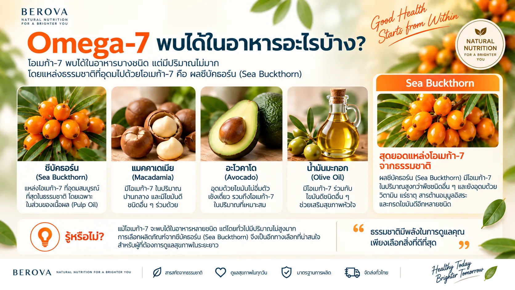 Omega-7 พบได้ในอาหารอะไรบ้าง?