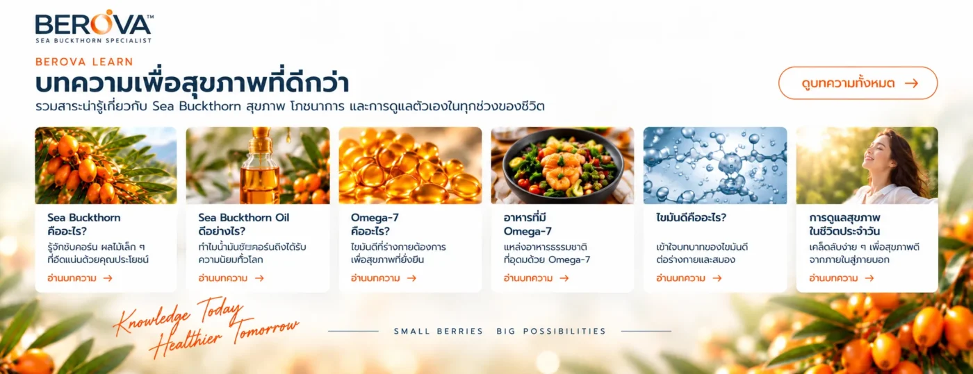 บทความ seabuckthorn