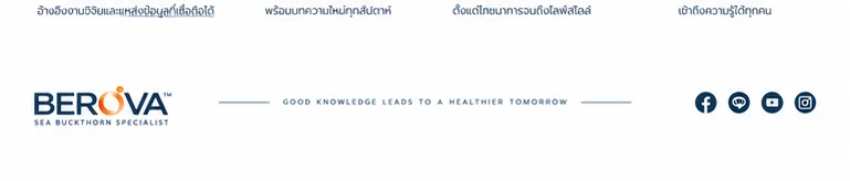หลักการบรรณาธิการ BEROVA