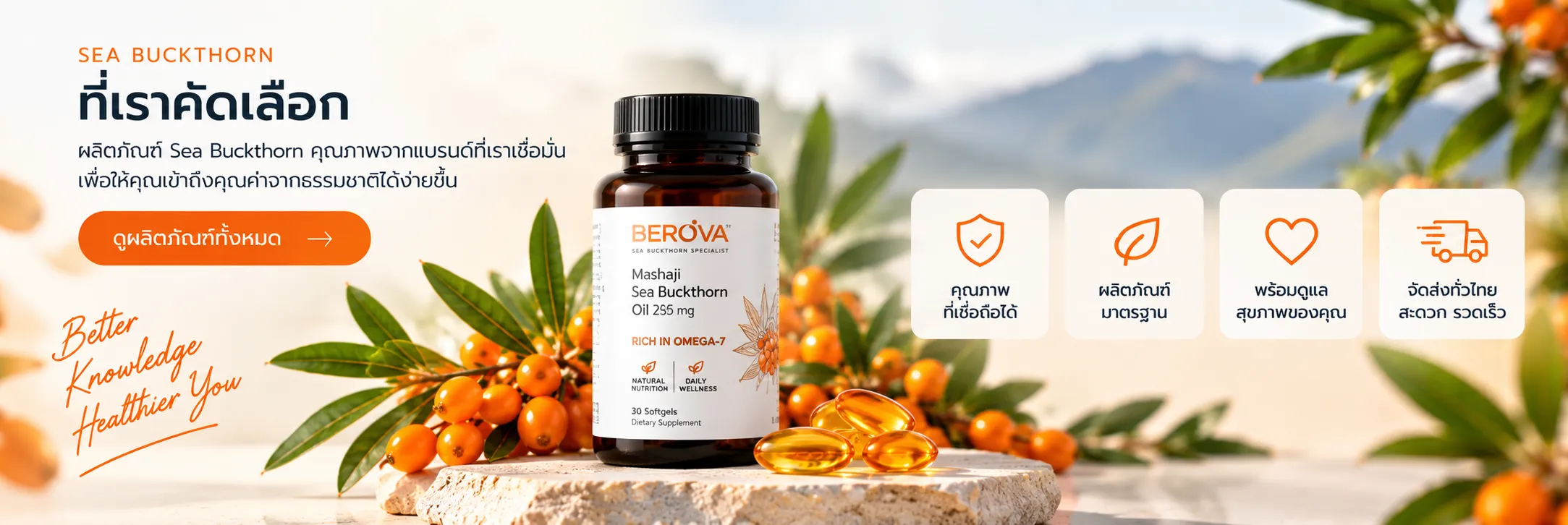 Sea Buckthorn ที่เราคัดเลือก