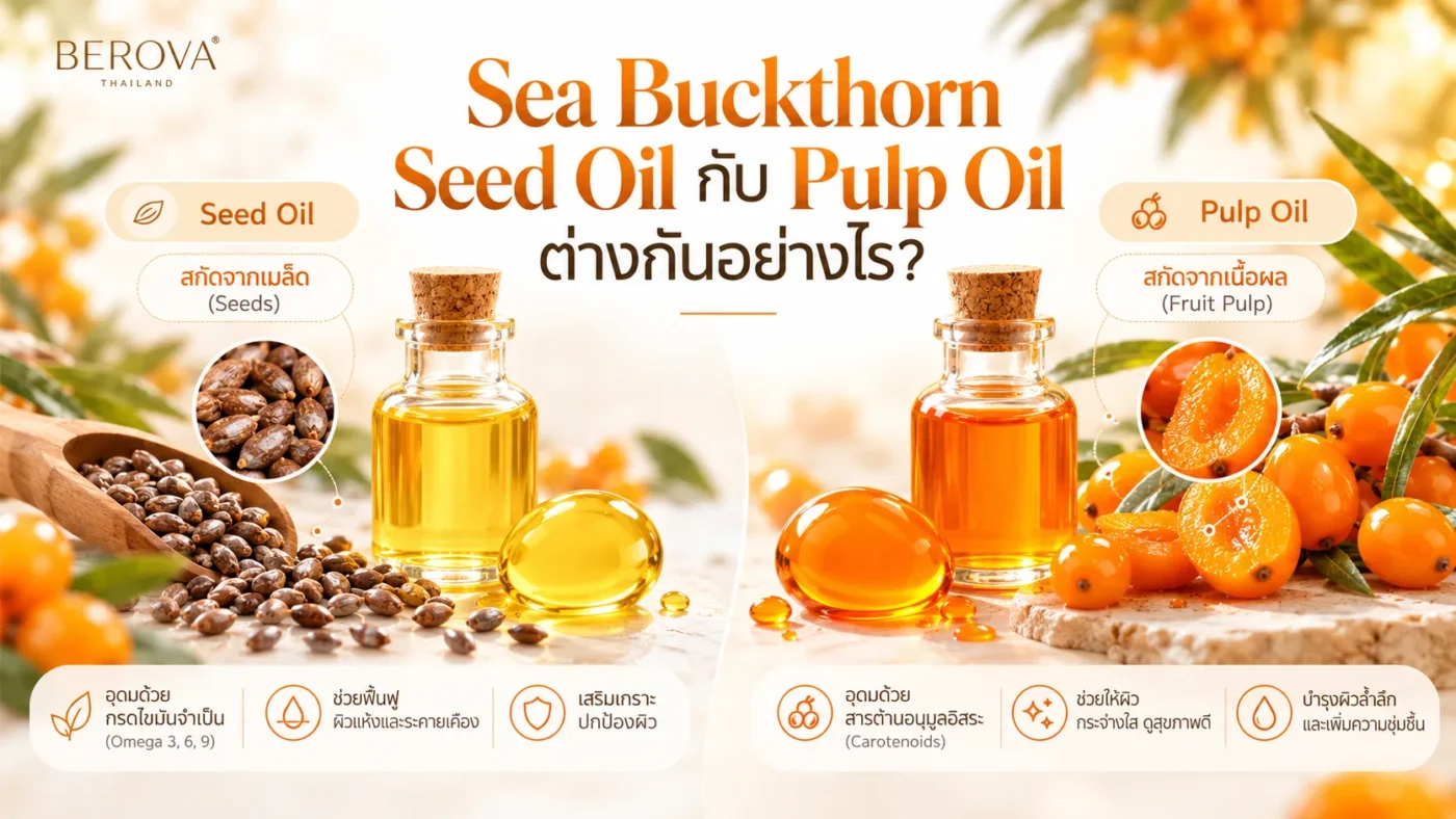 Sea Buckthorn Seed Oil กับ Pulp Oil ต่างกันอย่างไร?