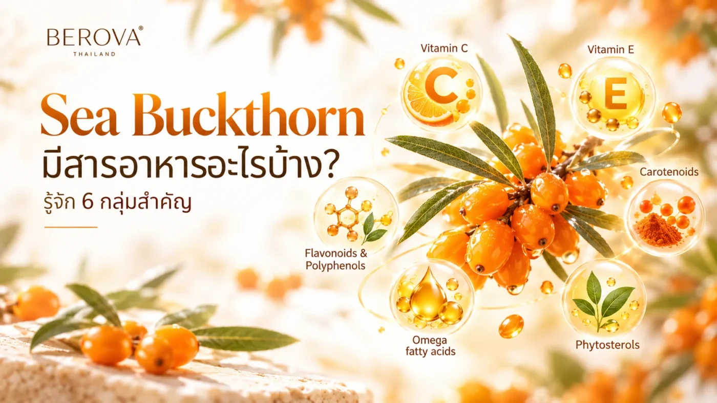 Sea Buckthorn คืออะไร